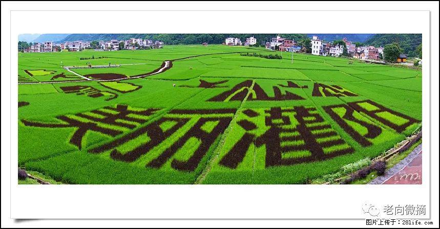 【春天，广西桂林灌阳县向您发出邀请！】开篇 - 游山玩水 - 黄石生活社区 - 黄石28生活网 hshi.28life.com