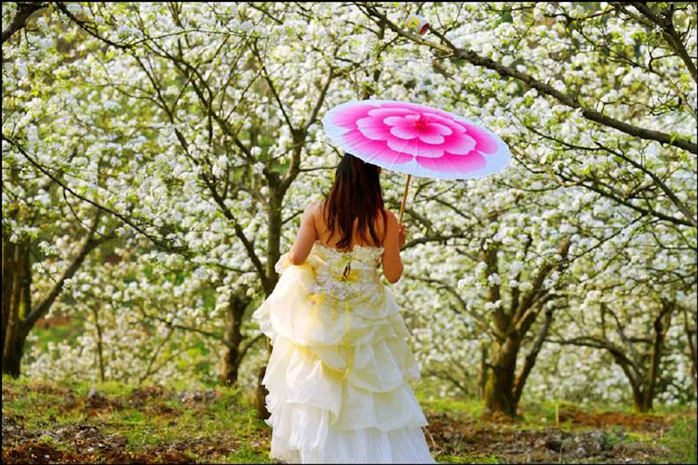 【春天,广西桂林灌阳县向您发出邀请!】我们在灌阳看梨花 - 游山玩水 - 黄石生活社区 - 黄石28生活网 hshi.28life.com