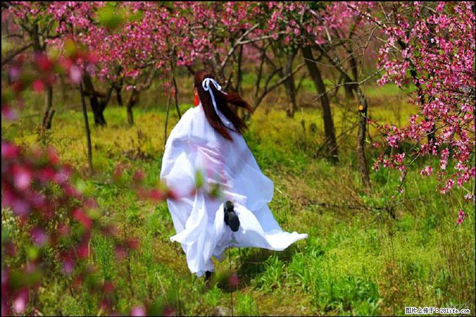 【春天,广西桂林灌阳县向您发出邀请!】官庄村有个醉美的桃花园 - 游山玩水 - 黄石生活社区 - 黄石28生活网 hshi.28life.com