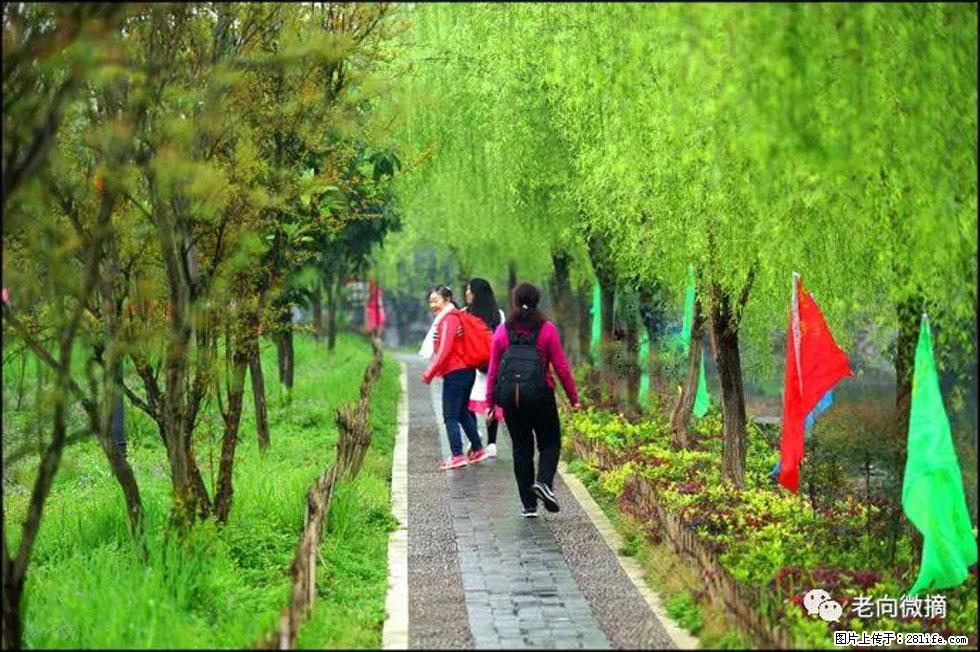 【春天，广西桂林灌阳县向您发出邀请！】江口老街又逢春 - 游山玩水 - 黄石生活社区 - 黄石28生活网 hshi.28life.com