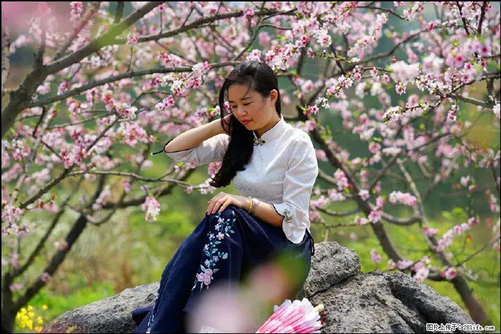 【春天，广西桂林灌阳县向您发出邀请！】望月岭上桃花开 - 游山玩水 - 黄石生活社区 - 黄石28生活网 hshi.28life.com