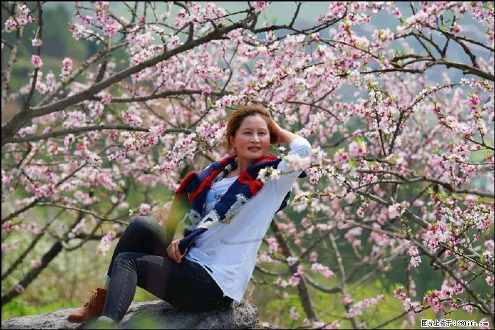 【春天，广西桂林灌阳县向您发出邀请！】望月岭上桃花开 - 游山玩水 - 黄石生活社区 - 黄石28生活网 hshi.28life.com