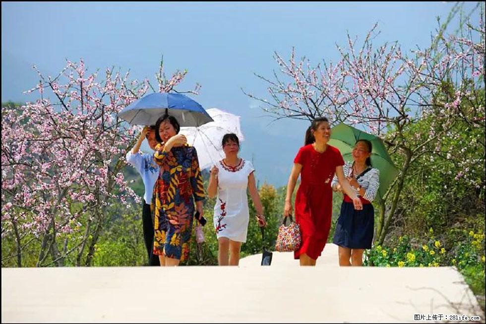 【春天，广西桂林灌阳县向您发出邀请！】望月岭上桃花开 - 游山玩水 - 黄石生活社区 - 黄石28生活网 hshi.28life.com