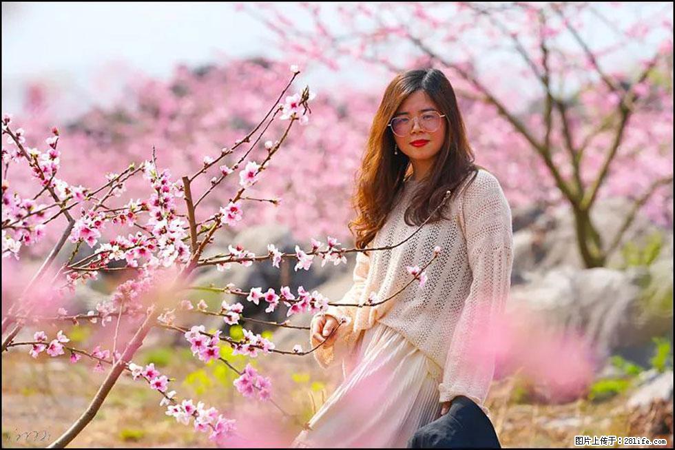 【春天，广西桂林灌阳县向您发出邀请！】望月岭上桃花开 - 游山玩水 - 黄石生活社区 - 黄石28生活网 hshi.28life.com