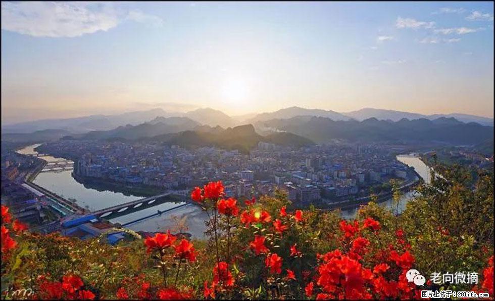 【春天,广西桂林灌阳县向您发出邀请!】登麒麟山,相约映山红 - 游山玩水 - 黄石生活社区 - 黄石28生活网 hshi.28life.com