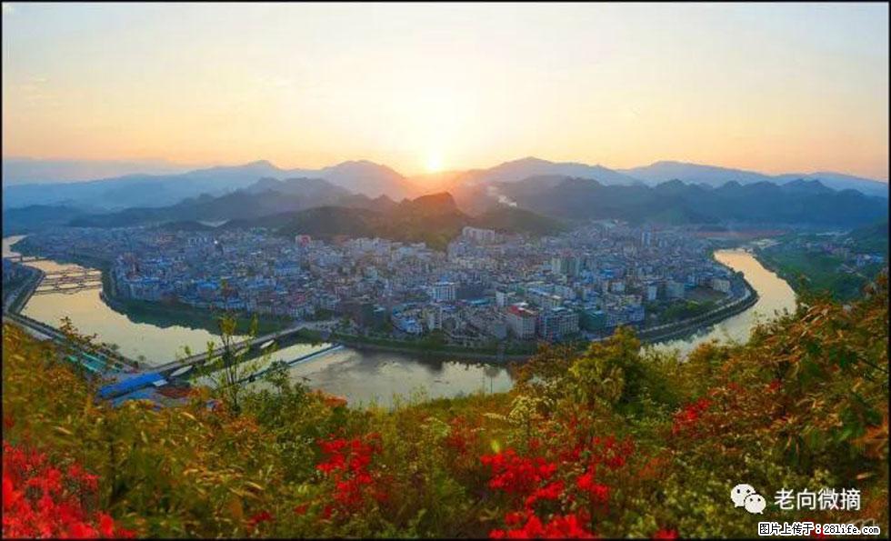 【春天,广西桂林灌阳县向您发出邀请!】登麒麟山,相约映山红 - 游山玩水 - 黄石生活社区 - 黄石28生活网 hshi.28life.com