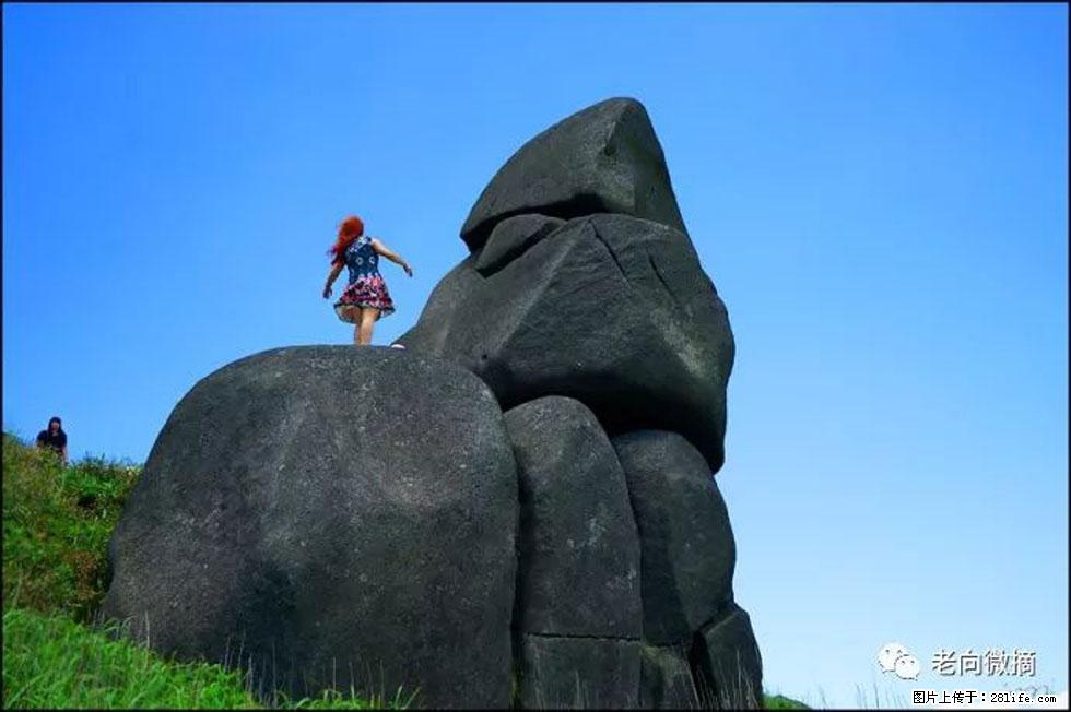 【春天,广西桂林灌阳县向您发出邀请!】宝盖山上映山红 - 游山玩水 - 黄石生活社区 - 黄石28生活网 hshi.28life.com