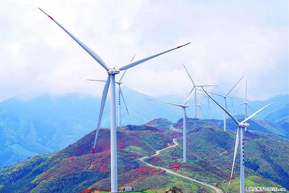 【春天,广西桂林灌阳县向您发出邀请!】春木界上映山红 - 游山玩水 - 黄石生活社区 - 黄石28生活网 hshi.28life.com