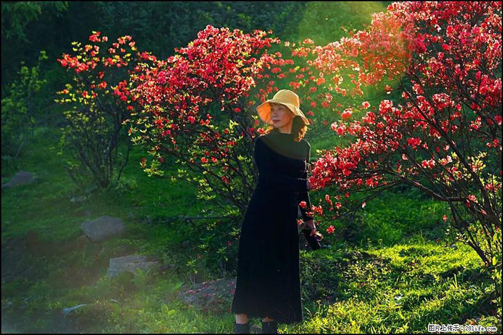 【春天,广西桂林灌阳县向您发出邀请!】春木界上映山红 - 游山玩水 - 黄石生活社区 - 黄石28生活网 hshi.28life.com