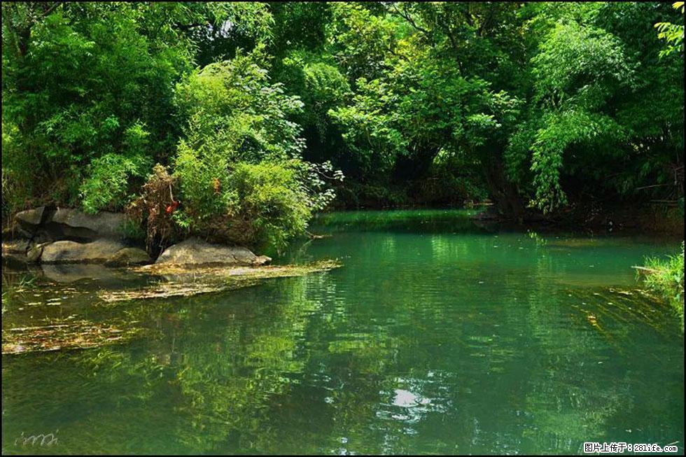 【春天,广西桂林灌阳县向您发出邀请!】如梦似幻莲溪庐 - 游山玩水 - 黄石生活社区 - 黄石28生活网 hshi.28life.com