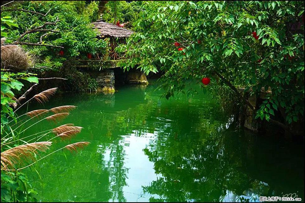 【春天,广西桂林灌阳县向您发出邀请!】如梦似幻莲溪庐 - 游山玩水 - 黄石生活社区 - 黄石28生活网 hshi.28life.com