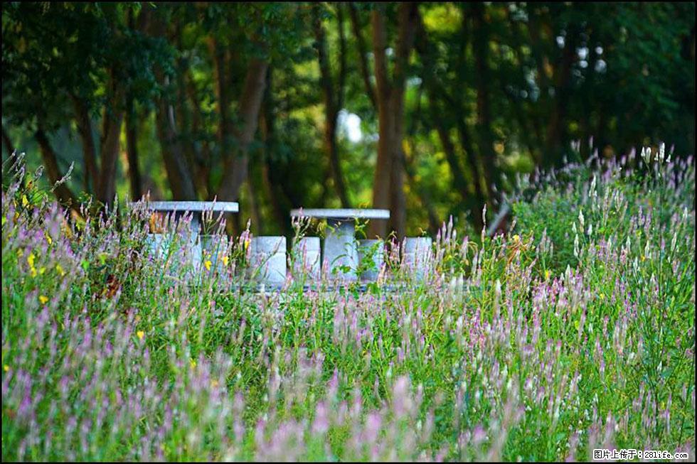 【春天，广西桂林灌阳县向您发出邀请！】熊家寨湿地公园 - 游山玩水 - 黄石生活社区 - 黄石28生活网 hshi.28life.com