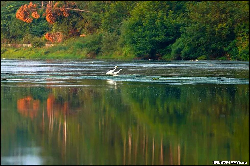 【春天，广西桂林灌阳县向您发出邀请！】熊家寨湿地公园 - 游山玩水 - 黄石生活社区 - 黄石28生活网 hshi.28life.com