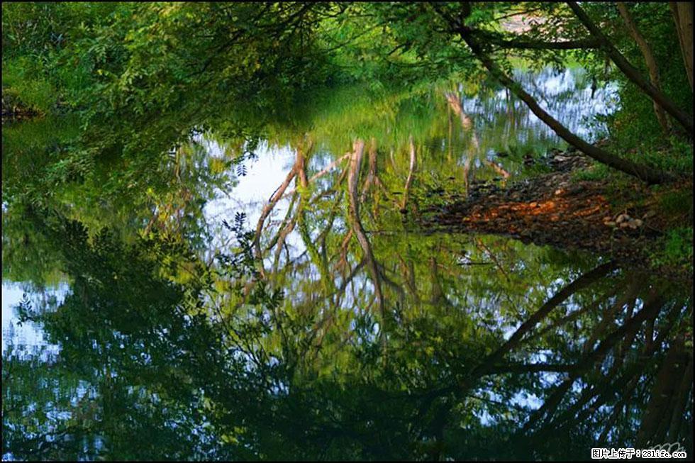 【春天，广西桂林灌阳县向您发出邀请！】熊家寨湿地公园 - 游山玩水 - 黄石生活社区 - 黄石28生活网 hshi.28life.com