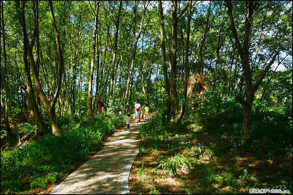 【春天，广西桂林灌阳县向您发出邀请！】熊家寨湿地公园 - 游山玩水 - 黄石生活社区 - 黄石28生活网 hshi.28life.com