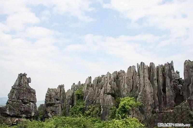 桂林旅游名城景点:灌阳文市石林 - 游山玩水 - 黄石生活社区 - 黄石28生活网 hshi.28life.com