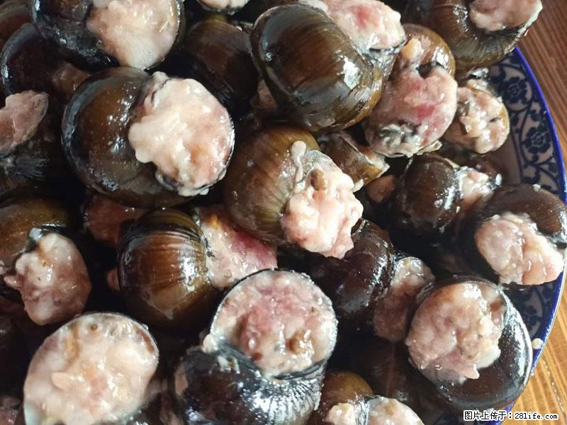 (舌尖上的乡村)灌阳:让人口齿留香的田螺酿 - 2023年07月31日 桂林日报第6版刊发 - 美食天地 - 黄石生活社区 - 黄石28生活网 hshi.28life.com