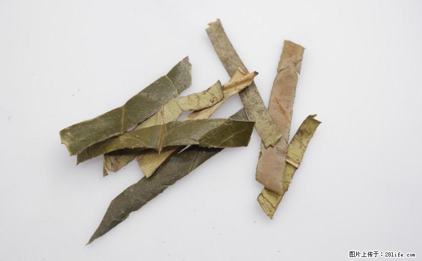 苦丁茶有哪些功效和作用 - 生活百科 - 黄石生活社区 - 黄石28生活网 hshi.28life.com