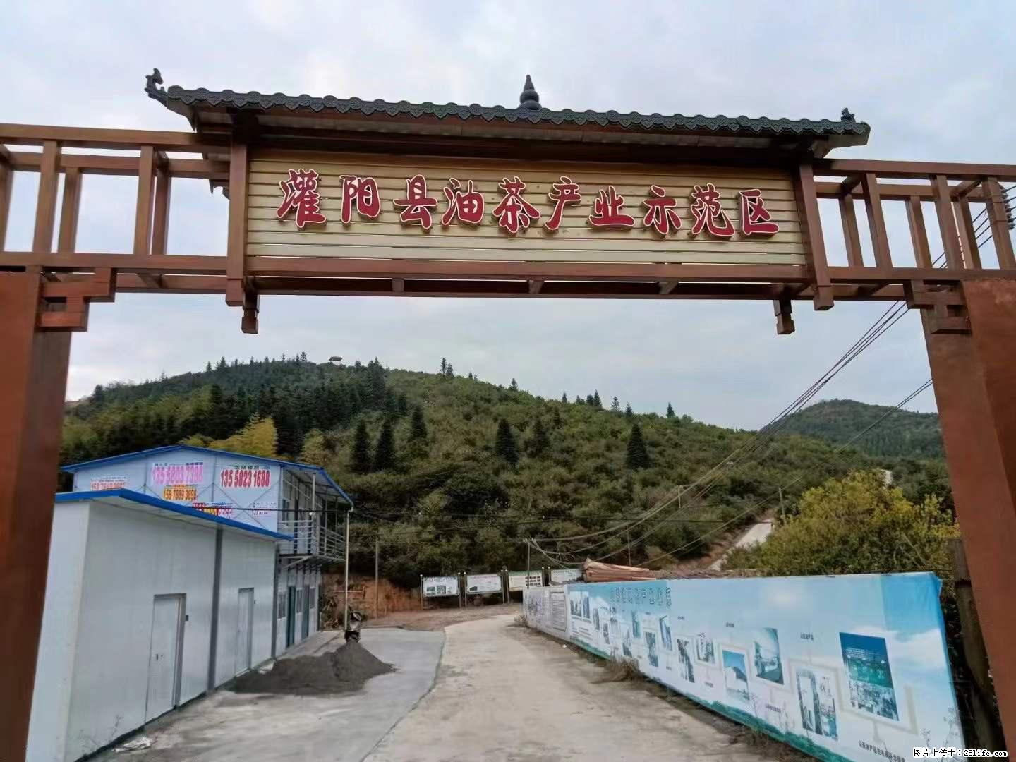 【灌阳县油茶产业示范区】一个有着充实的精神生活的人，对待身外之物自会有一种淡泊的态度 - 土特产 - 饮食特产 - 黄石分类信息 - 黄石28生活网 hshi.28life.com