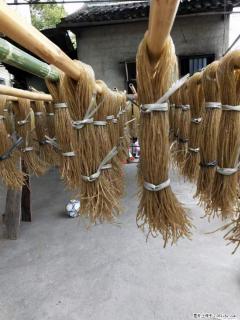 【灌阳正宗红薯粉】美女家里自己做的，干净卫生，假一赔十，价格合理，抢购电话：13737312895 - 黄石28生活网 hshi.28life.com