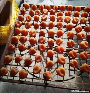 广西桂林平乐桥亭【柿饼之乡】2025年纯手工制作、无任何添加剂的第一批柿饼准备上市了，欢迎联系订购！ - 黄石28生活网 hshi.28life.com