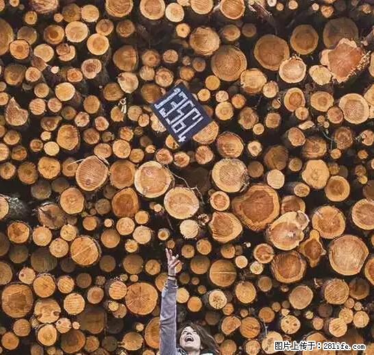 辞掉工作周游世界?现在他们在洗厕所…… - 游山玩水 - 黄石生活社区 - 黄石28生活网 hshi.28life.com