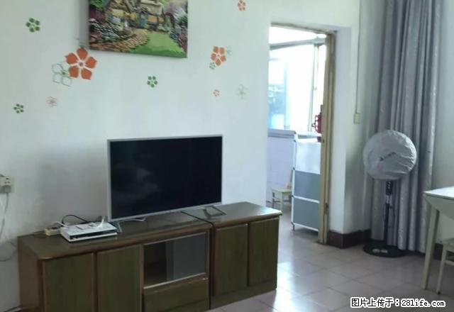 摩尔城两房精装修房子便宜出租啦 - 房屋出租 - 房屋租售 - 黄石分类信息 - 黄石28生活网 hshi.28life.com