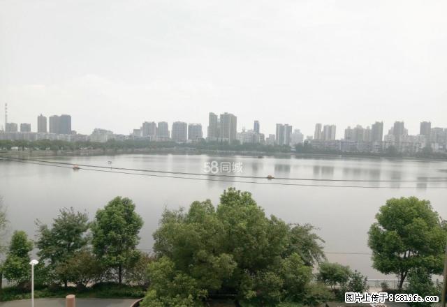 爱康医院附近 湖边中等装修两房900元每月拎包入住 - 房屋出租 - 房屋租售 - 黄石分类信息 - 黄石28生活网 hshi.28life.com