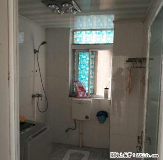 金港明珠好楼层精装两房，设备齐全。只租1700 - 黄石28生活网 hshi.28life.com