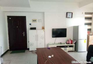 黄石港 万达商圈 老虎头精装一室一厅 拎包即住 - 黄石28生活网 hshi.28life.com