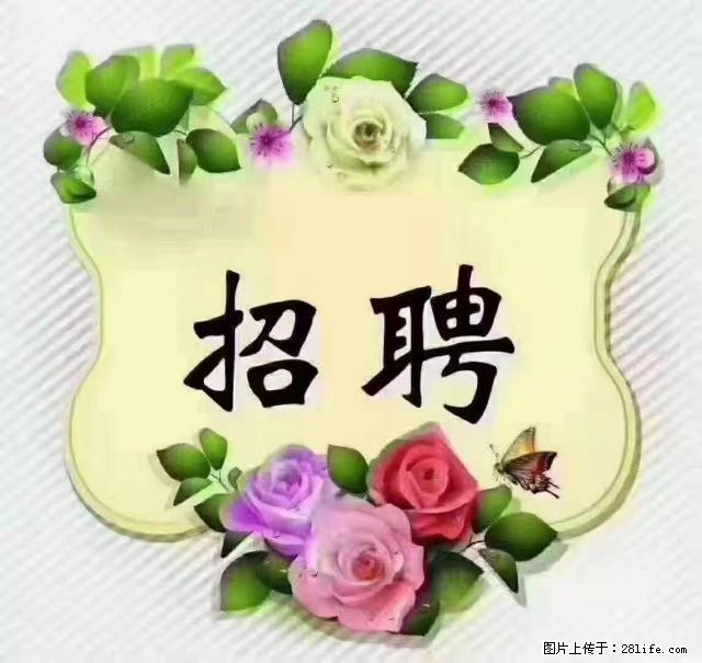 【招聘】住家育儿嫂,上户日期:4月4日,工作地址:上海 黄浦区 - 职场交流 - 黄石生活社区 - 黄石28生活网 hshi.28life.com