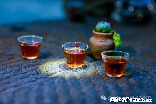 时间果百年古树2025年春红茶 - 购物交流 - 黄石生活社区 - 黄石28生活网 hshi.28life.com