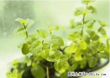 晕车、脚气、牙齿变黄、皮肤粗糙?学会这些三分钟搞定! - 黄石生活资讯 - 黄石28生活网 hshi.28life.com