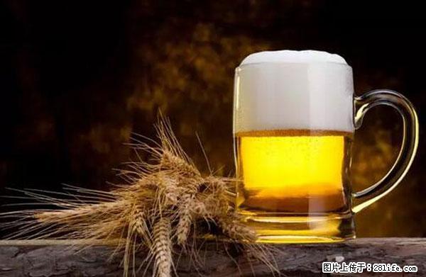 原来它这么毒,然而竟然满大街都是.... - 黄石生活资讯 - 黄石28生活网 hshi.28life.com