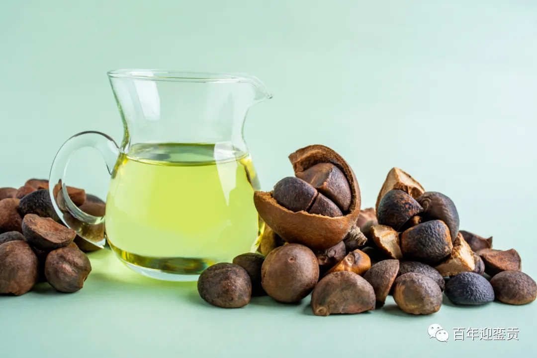 世界没有真相，只有认知，最好的食用油是中国的山茶油！ - 黄石生活资讯 - 黄石28生活网 hshi.28life.com