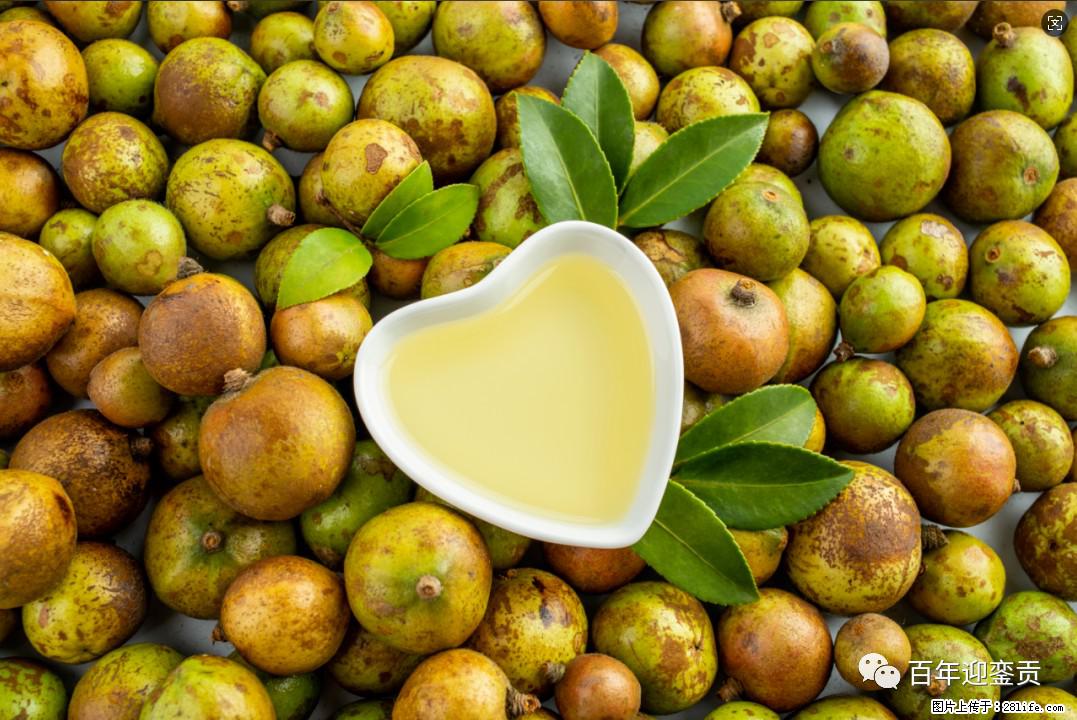 世界没有真相，只有认知，最好的食用油是中国的山茶油！ - 黄石生活资讯 - 黄石28生活网 hshi.28life.com