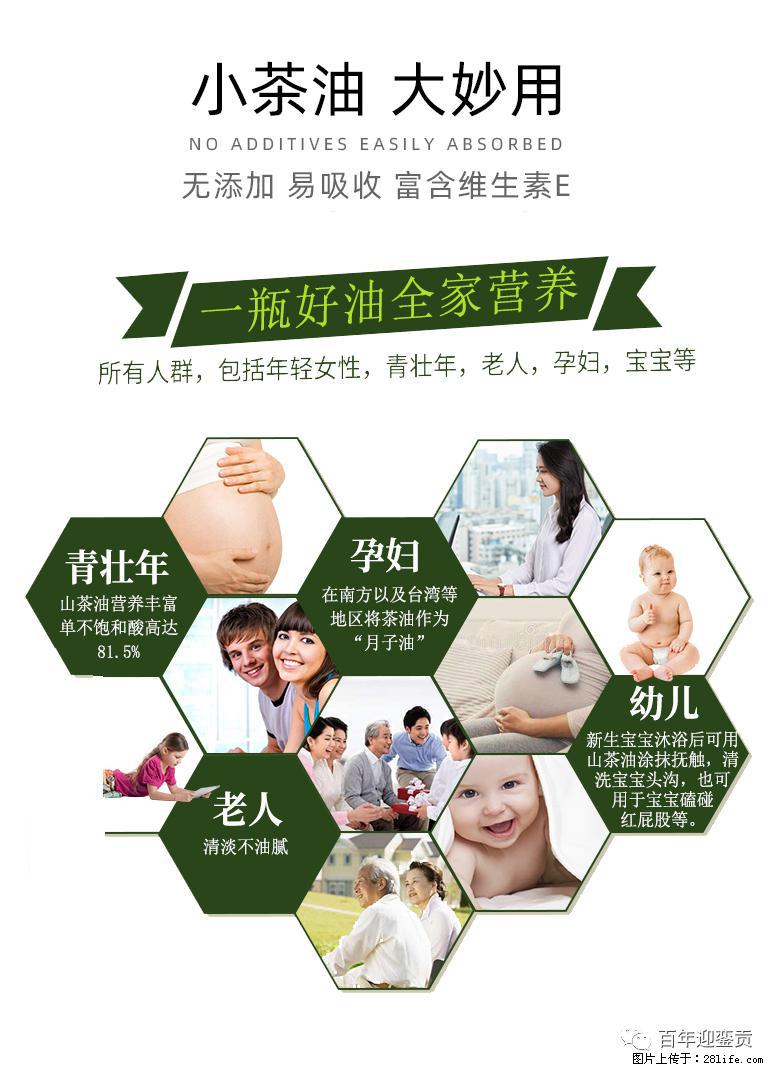 世界没有真相，只有认知，最好的食用油是中国的山茶油！ - 黄石生活资讯 - 黄石28生活网 hshi.28life.com