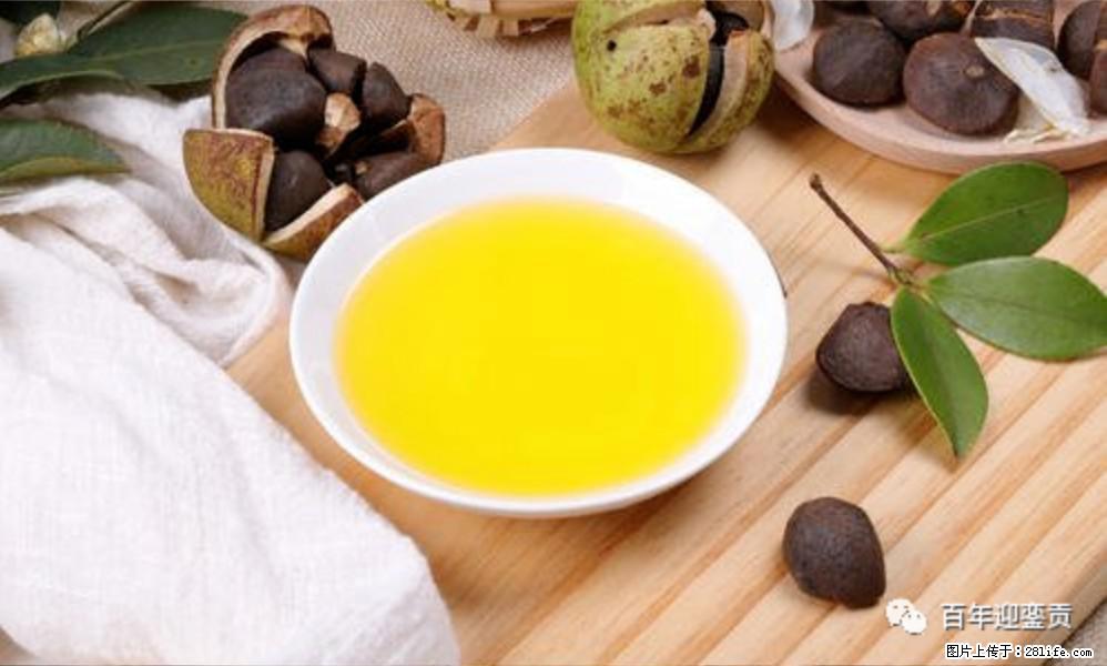 世界没有真相，只有认知，最好的食用油是中国的山茶油！ - 黄石生活资讯 - 黄石28生活网 hshi.28life.com