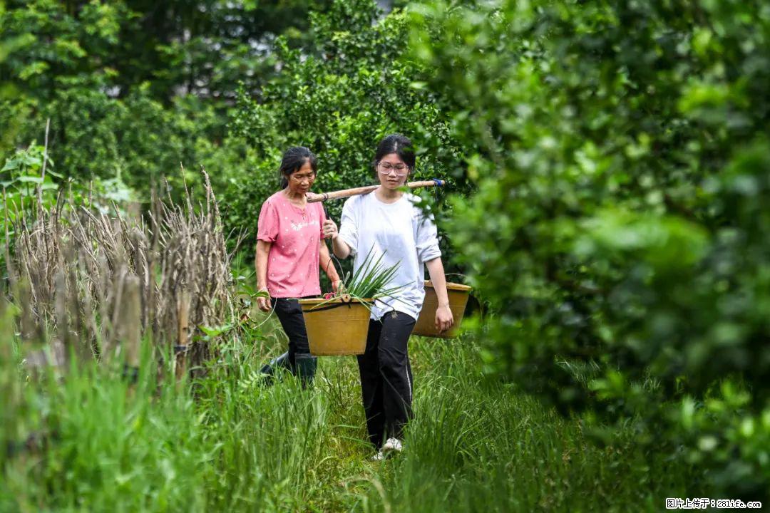 全网追的“扁担女孩”，找了一份暑假工，时薪12元 - 黄石生活资讯 - 黄石28生活网 hshi.28life.com