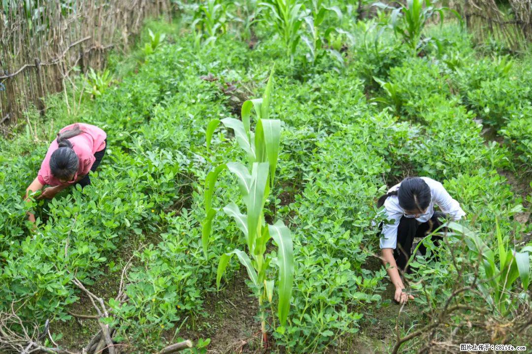 全网追的“扁担女孩”，找了一份暑假工，时薪12元 - 黄石生活资讯 - 黄石28生活网 hshi.28life.com