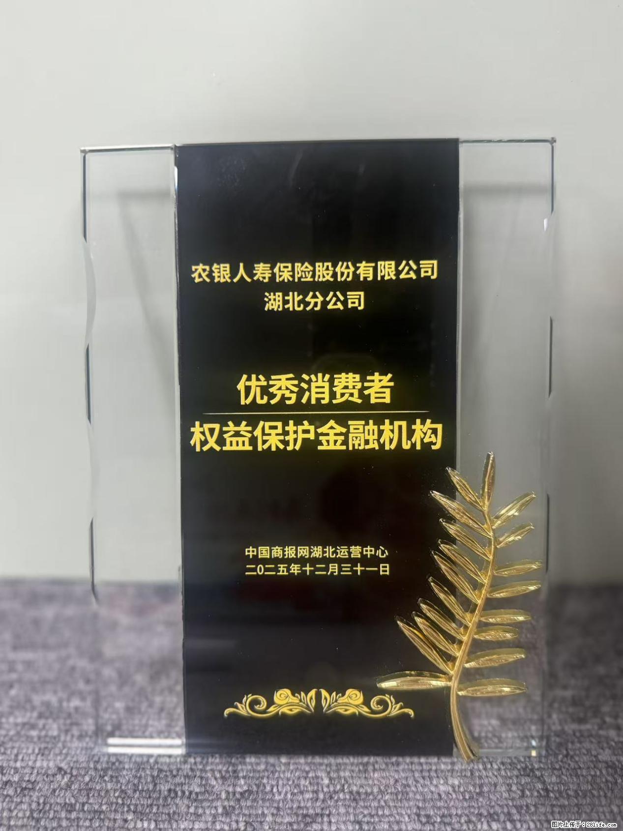 农银人寿湖北分公司荣获中国商报网颁发2025年度“优秀消费者权益保护金融机构” - 黄石生活资讯 - 黄石28生活网 hshi.28life.com
