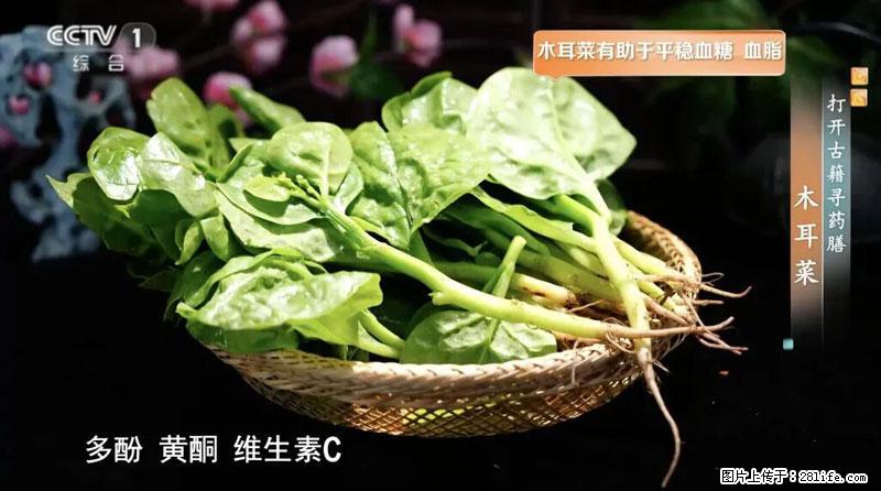 比牛奶补钙还厉害！凉血解毒、稳血糖...这菜冬天必吃，很多人却当草 - 黄石生活资讯 - 黄石28生活网 hshi.28life.com
